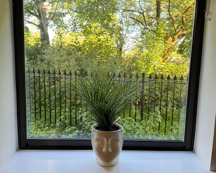 Polly'S Place Apartment Taunton & Free Off Road Parking & Wifi Esterno foto